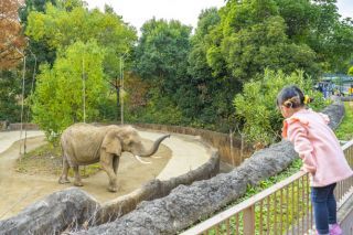 八木山動物公園写真２