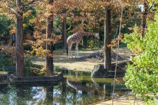 八木山動物公園の写真４