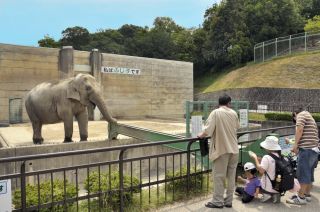 岡崎市東公園動物園写真２