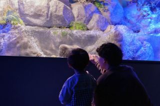 シン・マリホ水族館写真１