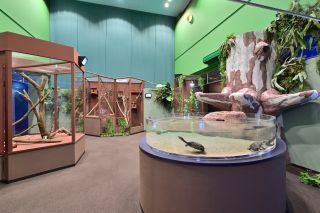 シン・マリホ水族館写真２