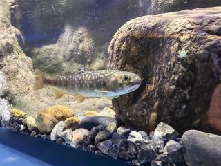 シン・マリホ水族館の写真４