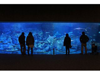 マリーンパレス水族館「うみたまご」写真１