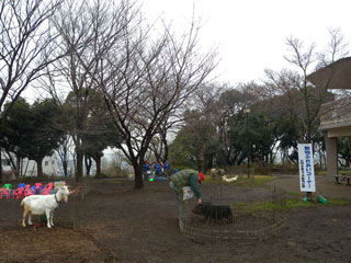 夢見ヶ崎動物公園の写真３