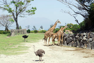 平川動物公園の写真３