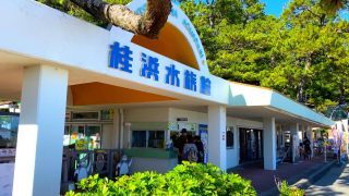 桂浜水族館写真１