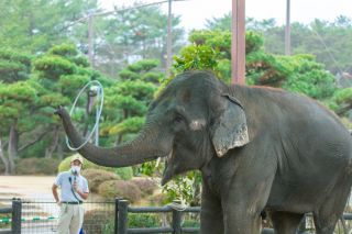 フェニックス自然動物園写真２