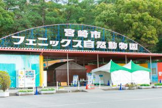 フェニックス自然動物園の写真４