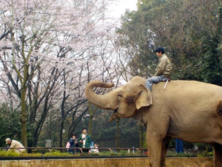 金沢動物園写真１