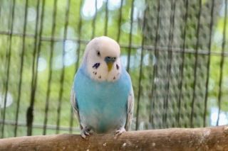 相模原麻溝公園ふれあい動物広場写真２