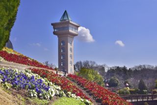 相模原麻溝公園ふれあい動物広場の写真３