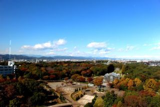 相模原麻溝公園ふれあい動物広場の写真４