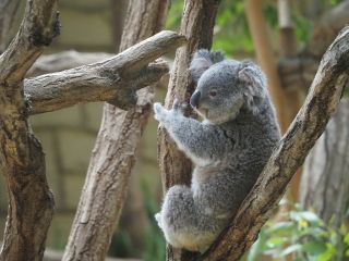 東山動植物園写真１