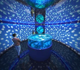 広島もとまち水族館写真１