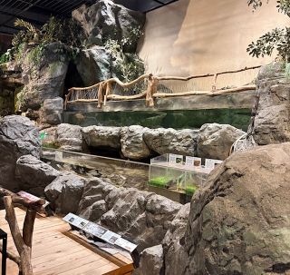 水産学習館写真２