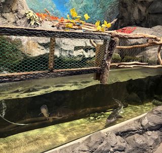 水産学習館の写真４