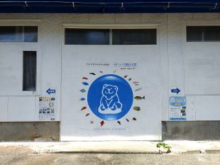のもざきの小さな水族館写真2