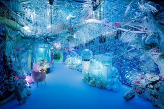 プラネットアクア・ポート写真１