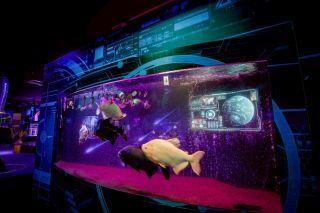 プラネットアクア・ポートの写真３