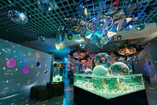 沖縄金魚ミュージアムの写真３