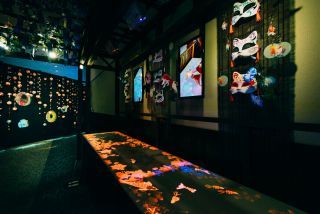 沖縄金魚ミュージアムの写真４