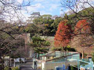 和歌山公園動物園の写真４