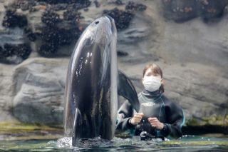 海遊館の写真３