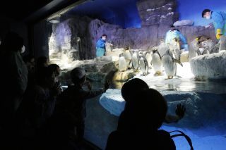 海遊館の写真４