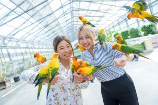 掛川花鳥園写真２