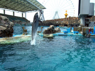名古屋港水族館写真２