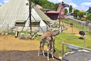 伊豆シャボテン動物公園写真２
