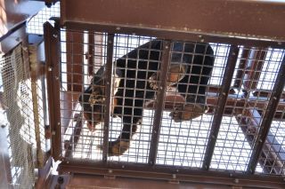 徳山動物園の写真３