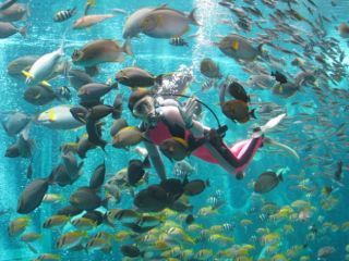 箱根園水族館写真２