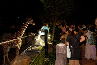 福山市立動物園写真２