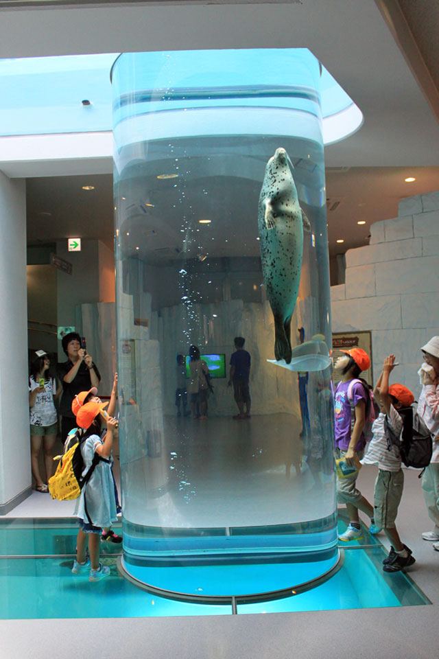 日本平動物園の営業案内や地図アクセス情報 動物園 水族館特集