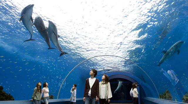 横浜 八景島シーパラダイスの営業案内や地図アクセス情報 動物園 水族館特集
